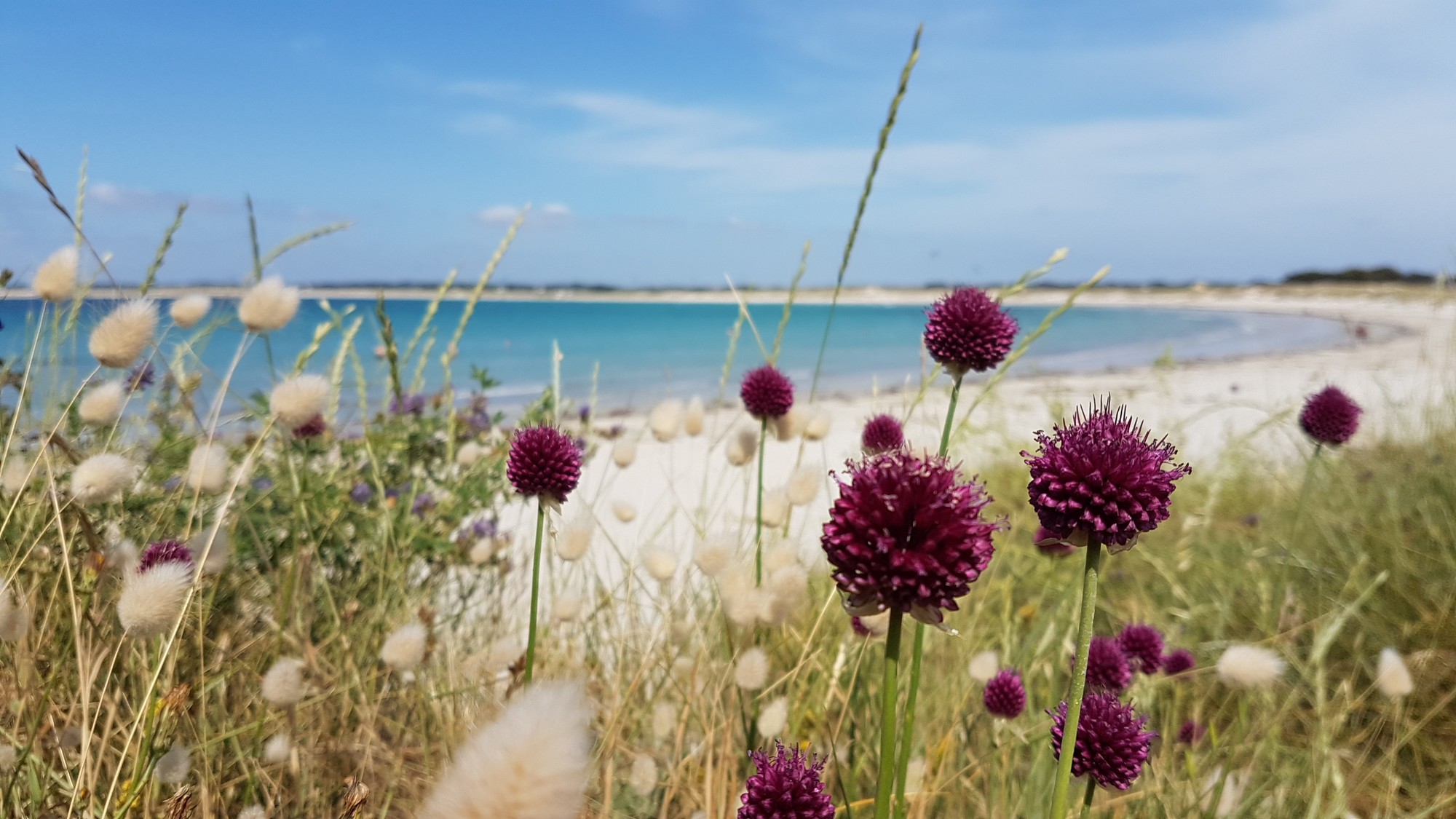 Les plages sur le littoral du Finistère Sud